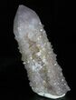 Cactus Quartz (Amethyst) Crystal - South Africa #33619-1
